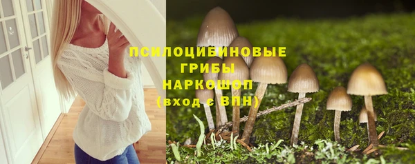 герыч Бородино