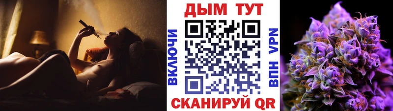 дарнет шоп  Новоржев  Марихуана индика 